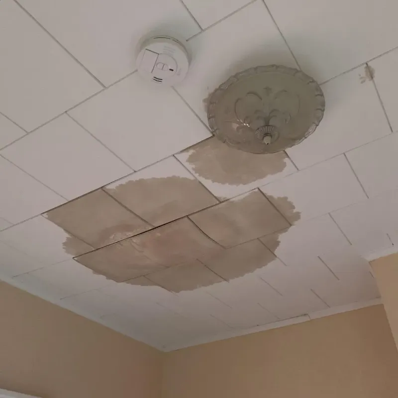 Ceiling Water Damage Repair in Groton, SD