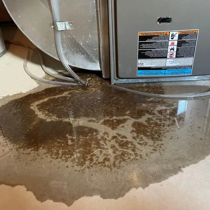 Pipe Burst and Leak Restoration in Groton, SD