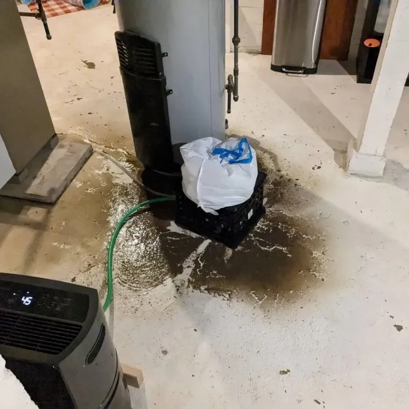 Sewage Backup Cleanup Service in Groton, SD